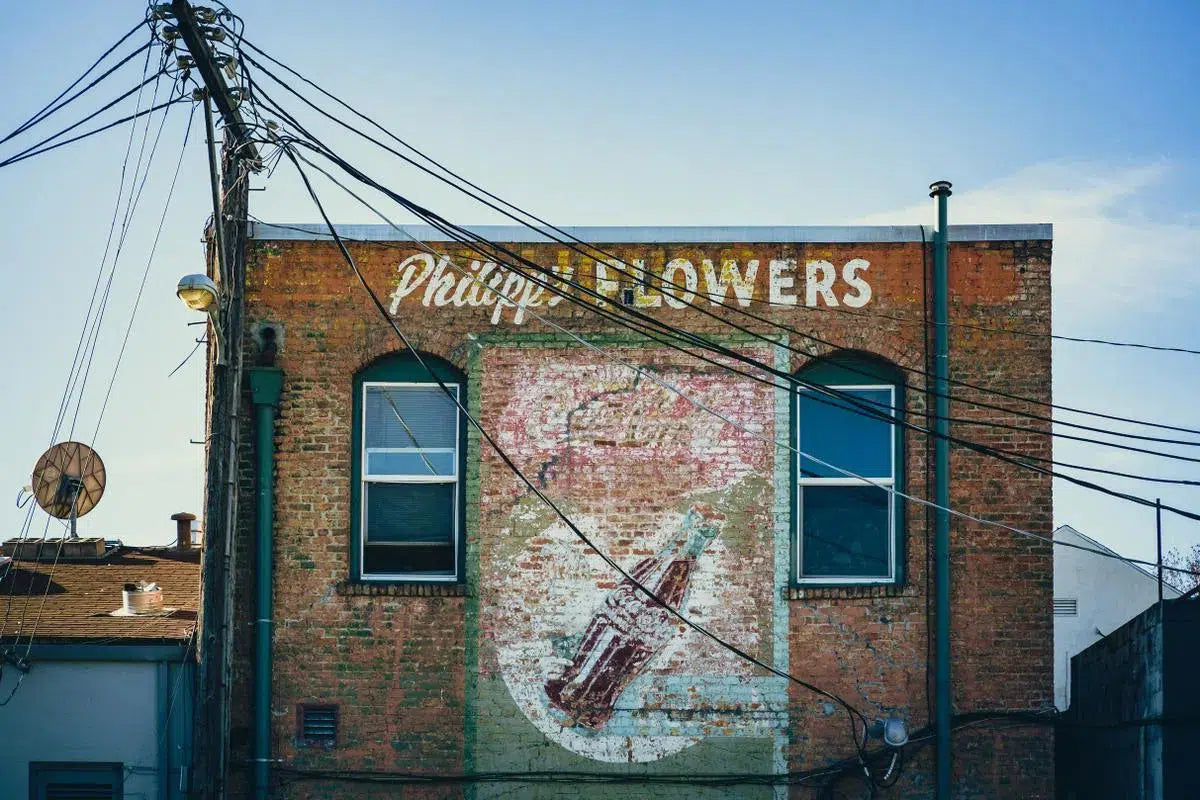 Philipp's Flowers, by Jeremy Brooks-PurePhoto
