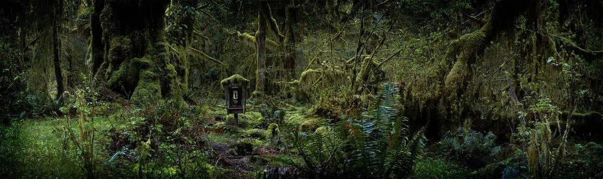 Phone Booth, by Peter Andrew-PurePhoto