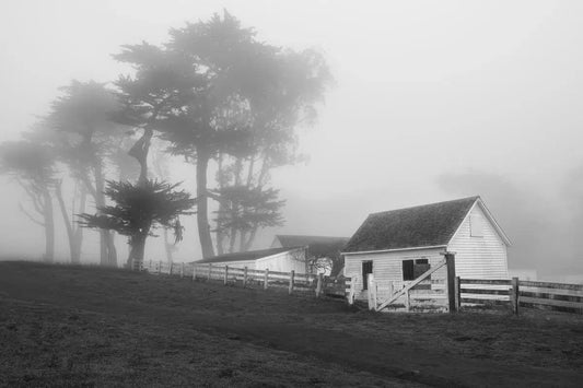 Pierce Ranch in Fog- Point Reyes B&W, by Steven Castro-PurePhoto