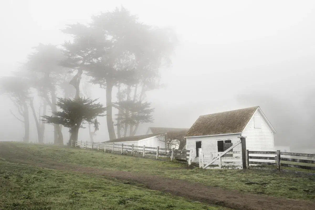 Pierce Ranch in Fog - Point Reyes, by Steven Castro – PurePhoto