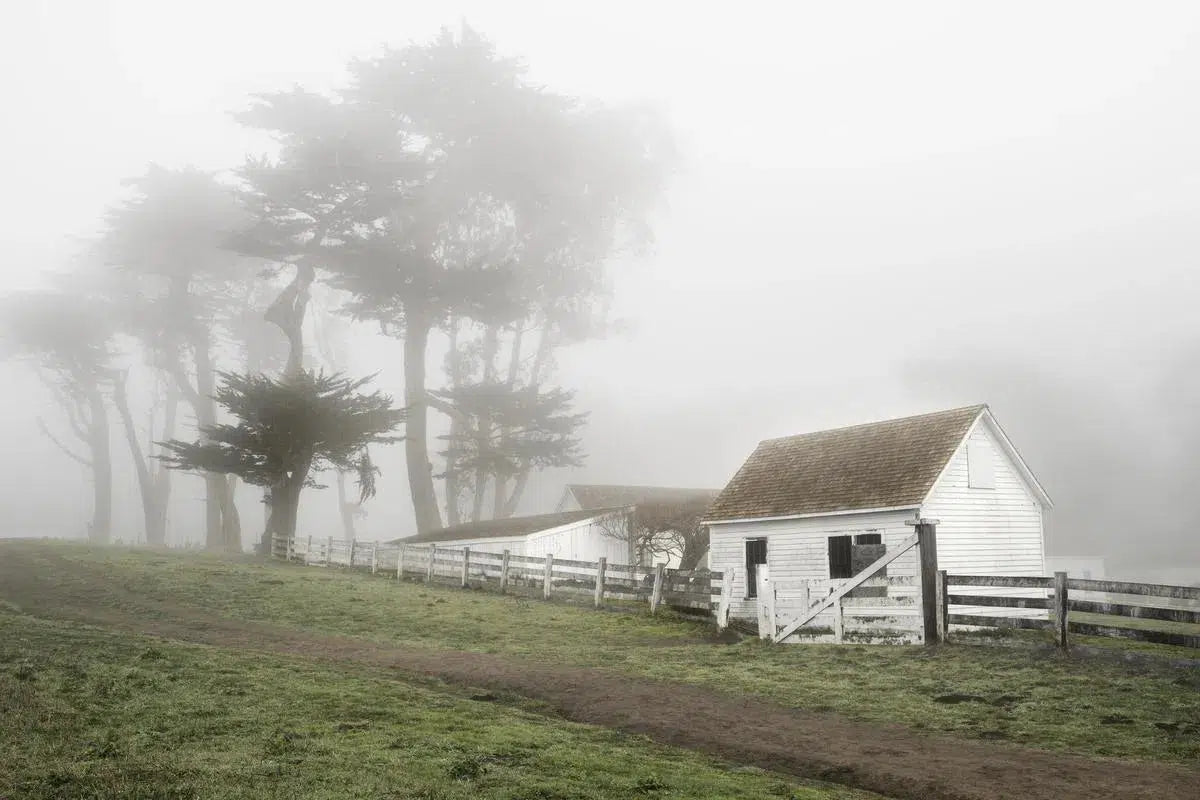 Pierce Ranch in Fog - Point Reyes, by Steven Castro-PurePhoto