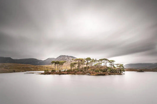 Pines Island - Derryclare Lough, Co. Galway, by Steven Castro-PurePhoto