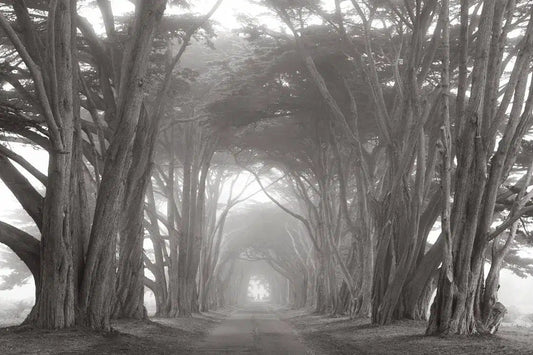 Point Reyes, by Drew Doggett-PurePhoto