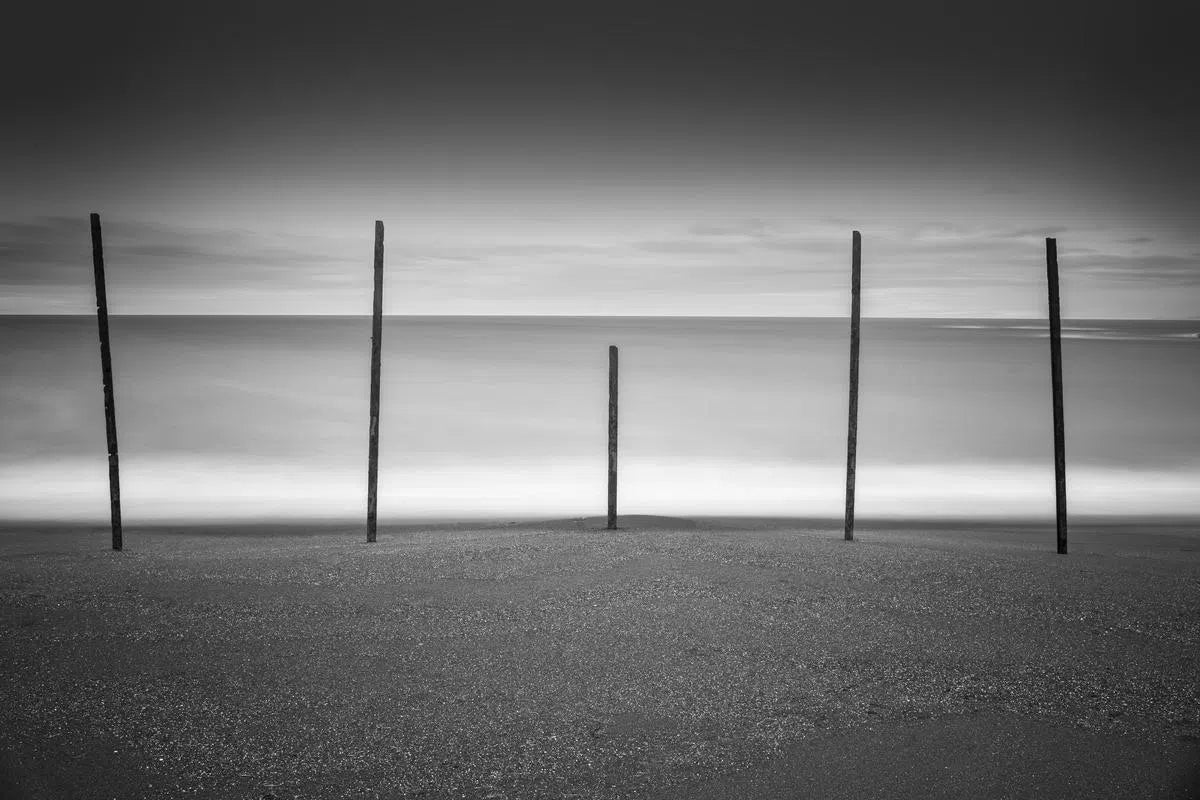 Poles at Mac Kerricher State Park, by Steven Castro-PurePhoto