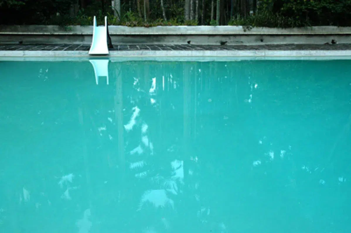 Poolside, by Francesca Ritchey-PurePhoto