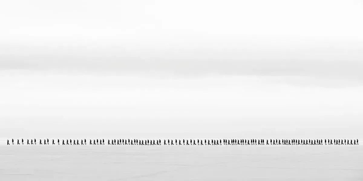 Population, by Ari Salmela-PurePhoto