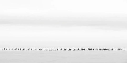Population, by Ari Salmela-PurePhoto