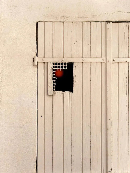 Portal, by Gillian Lindsay-PurePhoto
