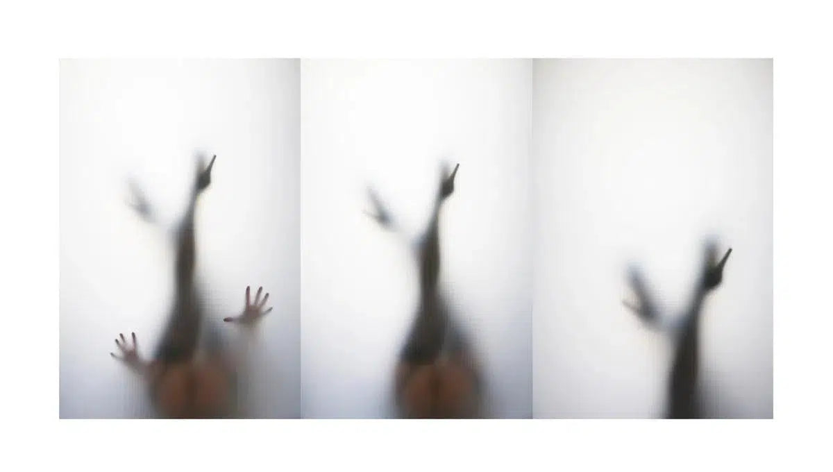 Porte-Jarretelles, by Danielle Biel-PurePhoto