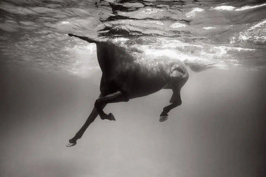 Power and Rhythm, by Drew Doggett-PurePhoto