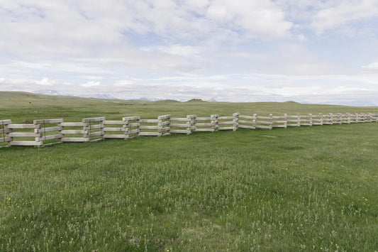 Prairie Fence, by Paul Edmondson-PurePhoto