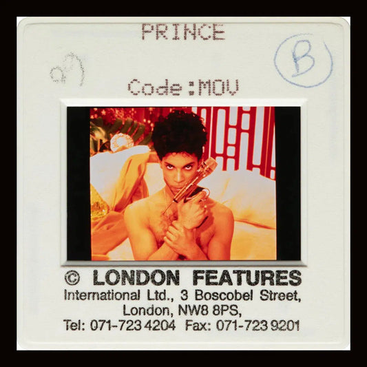 Prince - Slide 1, from The Wild Ones collection-PurePhoto
