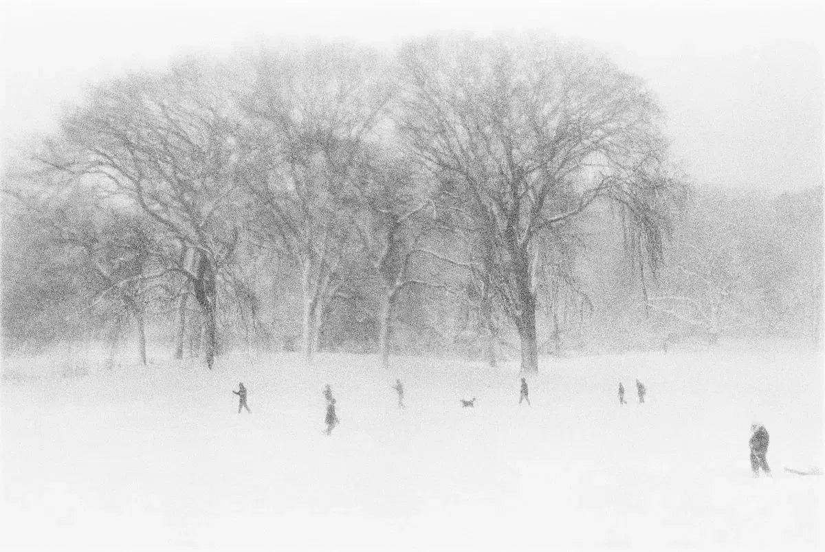 Prospect Park, by Jason Tlush-PurePhoto