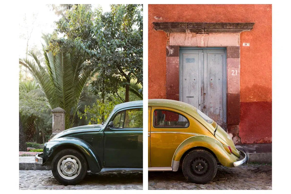 Punch Buggy #17, by Alexandra Tremaine-PurePhoto