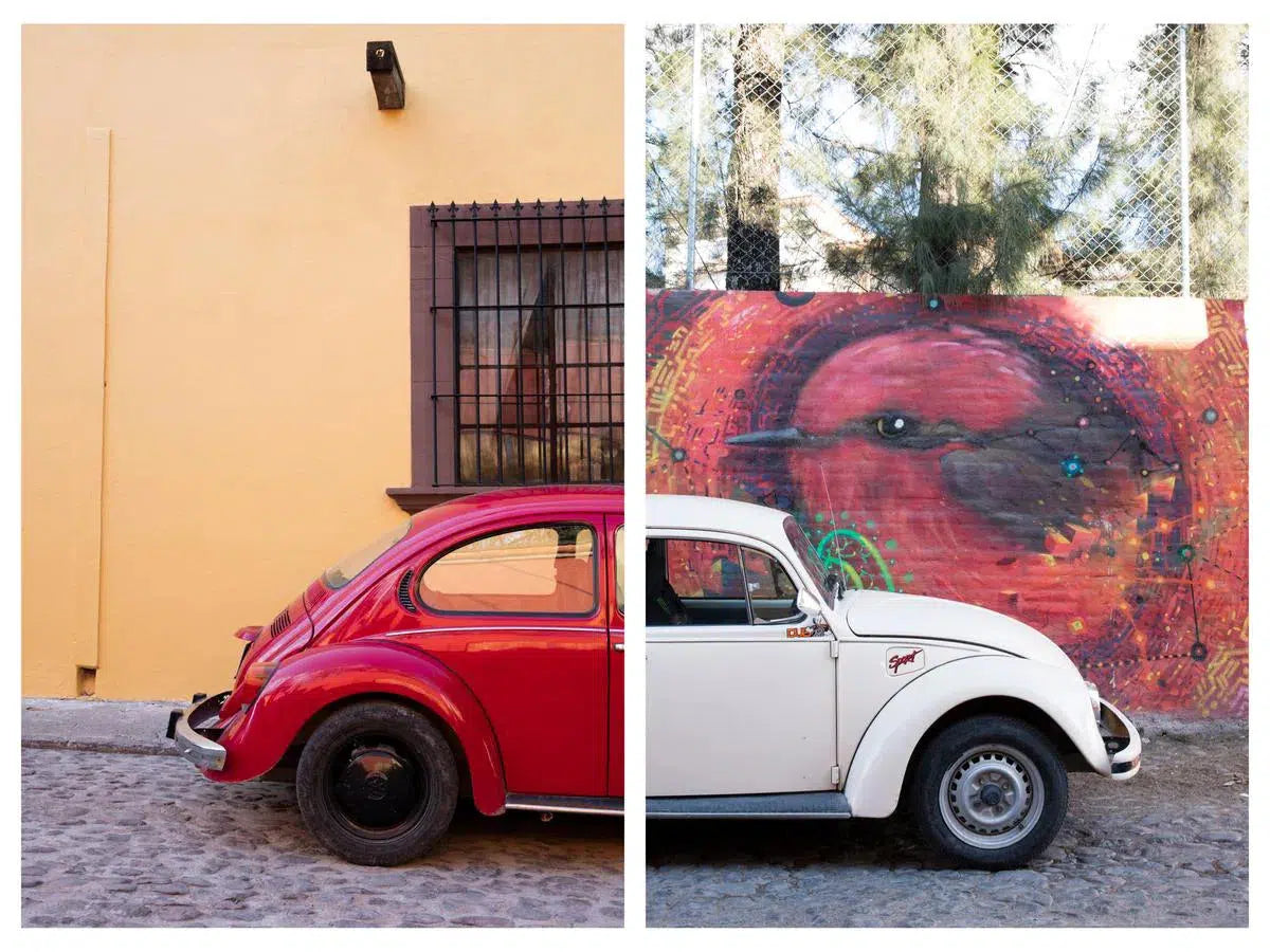 Punch Buggy #30, by Alexandra Tremaine-PurePhoto