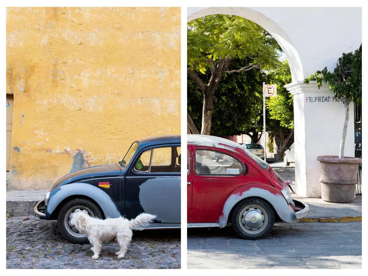 Punch Buggy #31, by Alexandra Tremaine-PurePhoto