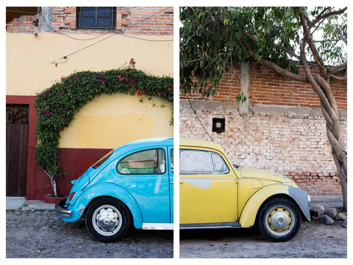 Punch Buggy #43, by Alexandra Tremaine-PurePhoto