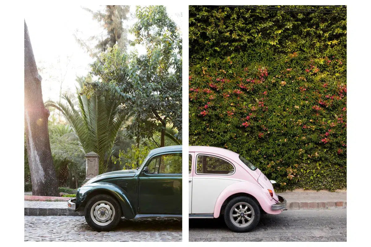 Punch Buggy #8, by Alexandra Tremaine-PurePhoto
