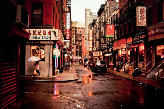 Rainy Afternoon on Pell Street - Chinatown - New York City, by Vivienne Gucwa-PurePhoto