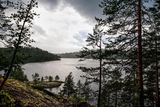 Rainy Summer Day, by Ari Salmela-PurePhoto