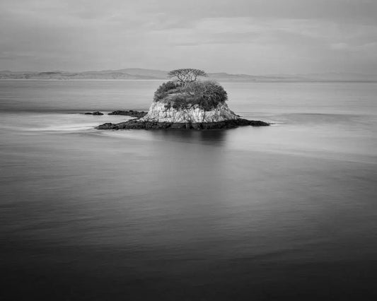 Rat Rock - China Camp State Park, by Steven Castro-PurePhoto