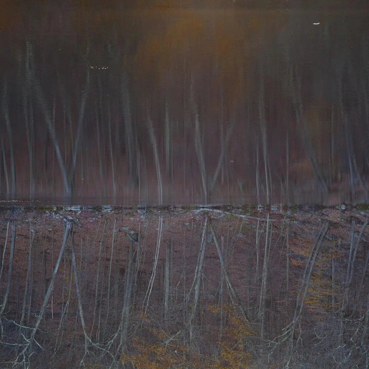 Reflection 12, by Michael Filonow-PurePhoto