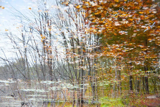 Reflection 13, by Michael Filonow-PurePhoto