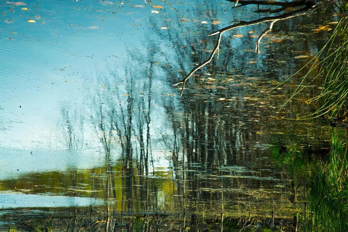 Reflection 42, by Michael Filonow-PurePhoto