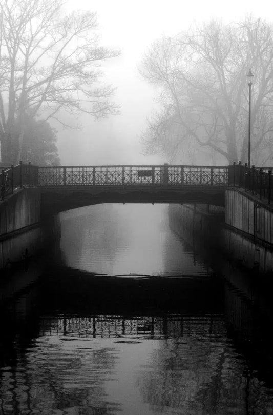 Reflection, by Victoria Wise-PurePhoto