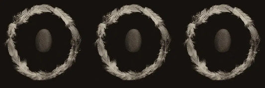 Ring of Feathers II, by Trinette + Chris-PurePhoto