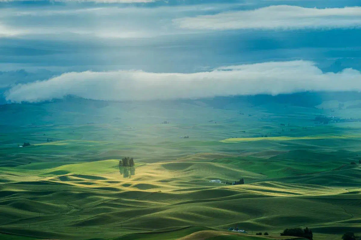 Rolling Hills of the Palouse 1, by Garret Suhrie-PurePhoto