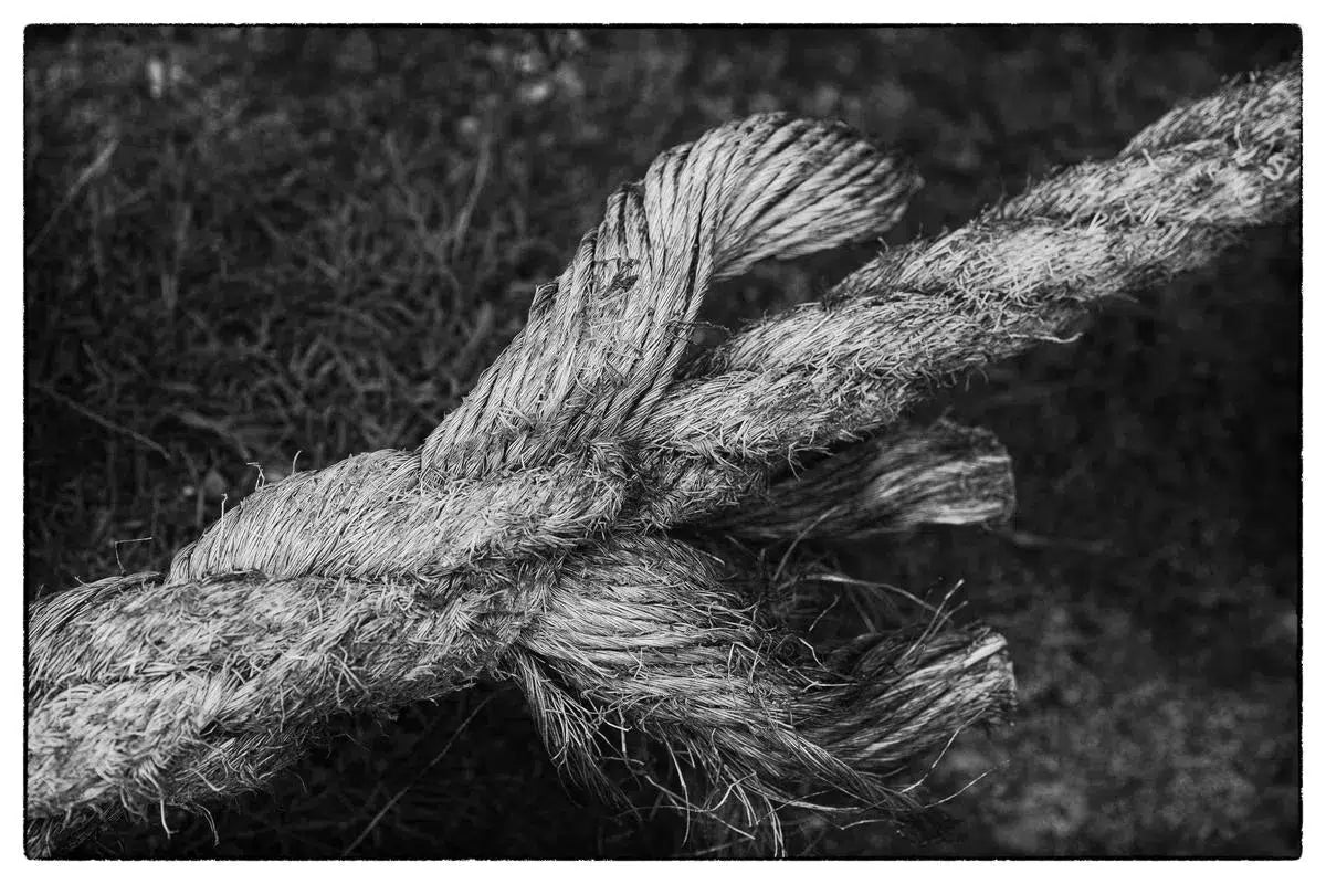 Rope, by Alan Ranger – PurePhoto