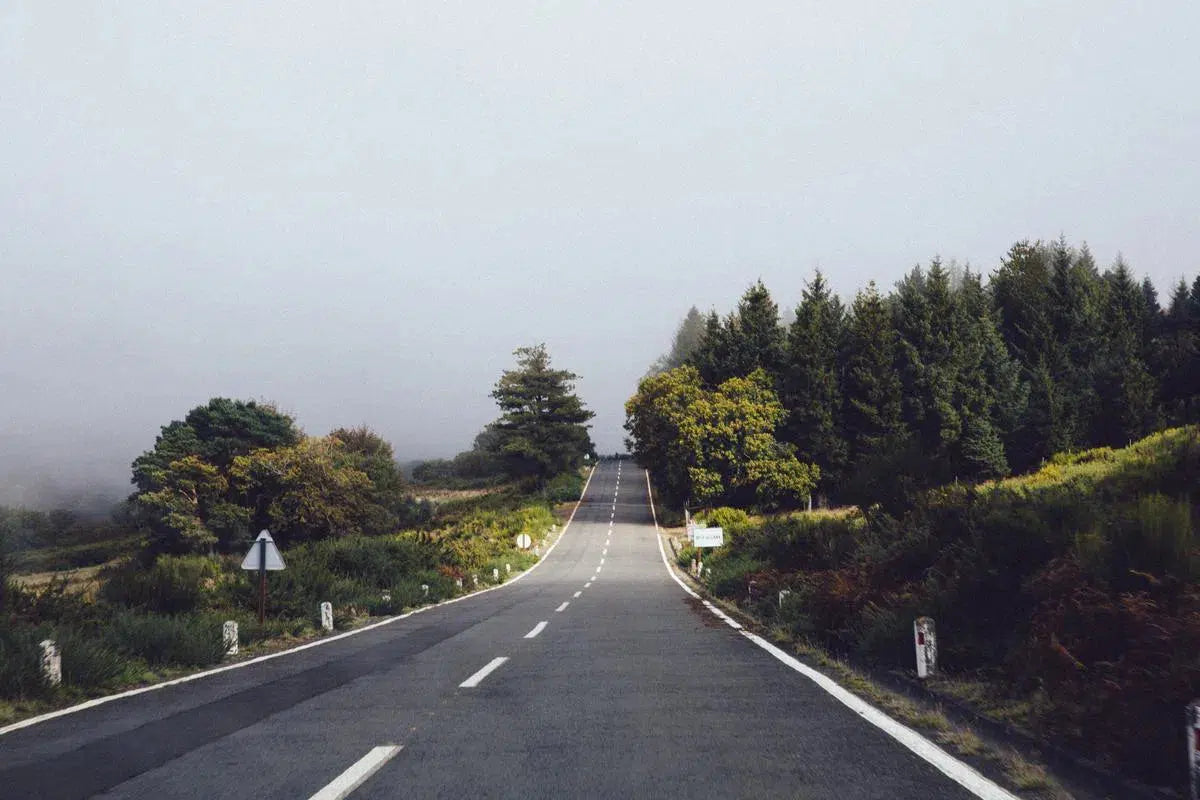 Routes, by Simon Reif-PurePhoto