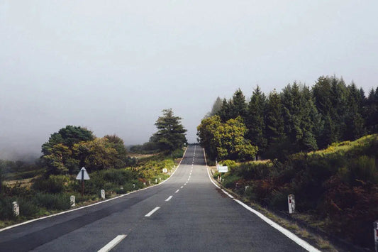 Routes, by Simon Reif-PurePhoto