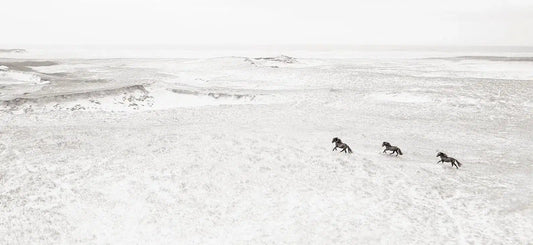 Running West, by Drew Doggett-PurePhoto