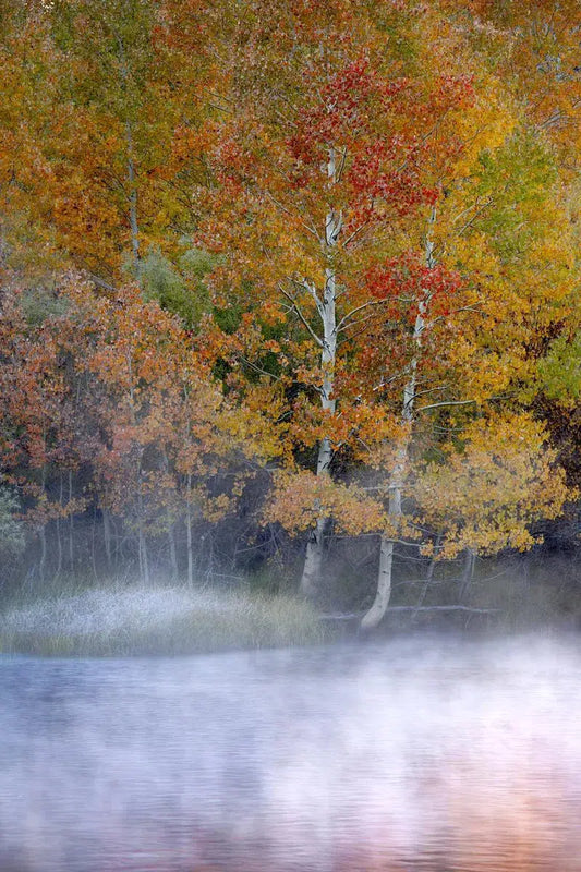 Rush Creek Mist, by Steven Castro-PurePhoto