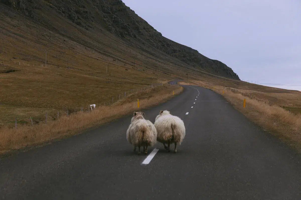 Rush Hour, by Oliver Regueiro-PurePhoto