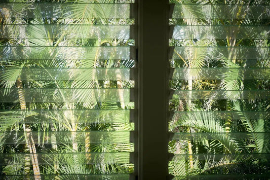SNAP*LUXE #80, by Bryony Shearmur-PurePhoto