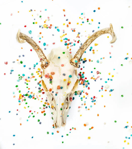 SUGAR OVERDOSE, by Pablo Luna-PurePhoto