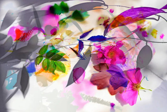 SYMPHONY 2, by Eiwy Ahlund-PurePhoto