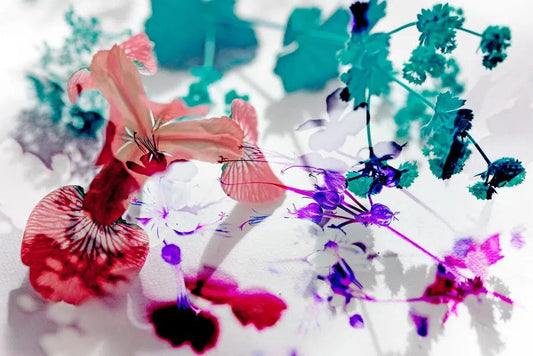 SYMPHONY 8, by Eiwy Ahlund-PurePhoto
