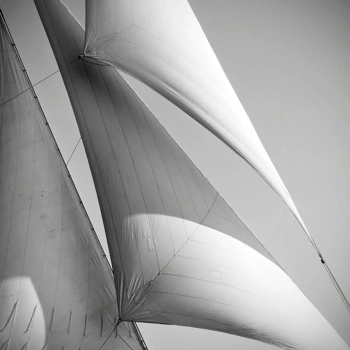 Sails of Avel, by Jonathan Chritchley-PurePhoto