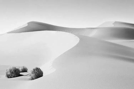 Sanctuary, by Drew Doggett-PurePhoto