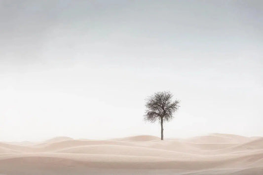 Sand Blasted, by Anthony Lamb-PurePhoto