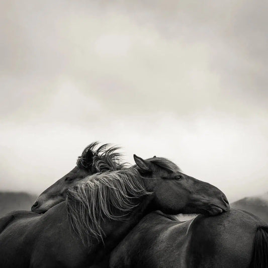 Scratch, by Carys Jones-PurePhoto