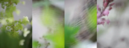 Screen 2, by Nicole Katano-PurePhoto