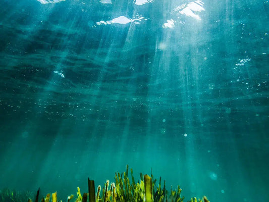 Sea Rays, by Paolo Ciriello-PurePhoto