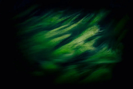 Sea grass dance 3, by Mats Gustafsson-PurePhoto