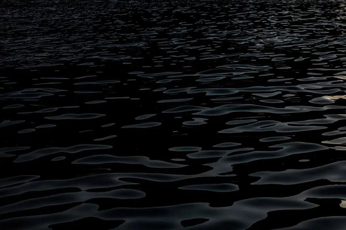 Sea of Cortez I, by Tom Fowlks-PurePhoto