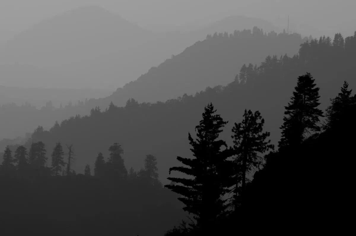 Sequoia Overlook, by Garret Suhrie-PurePhoto